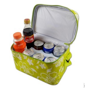 Cooler bag