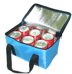 Cooler bag